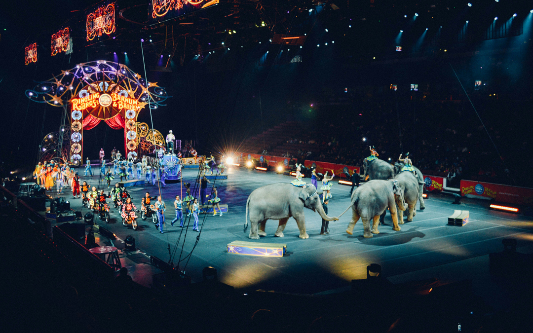 Circus image from Unsplashed